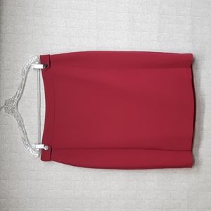 Ann Taylor Pencil Skirt